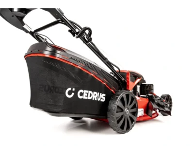 Cedrus KS53SV-E - Bild 9