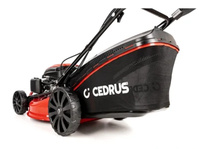 Cedrus KS53SV-E - Bild 13