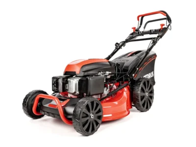 Cedrus KS53SV-E - Bild 2