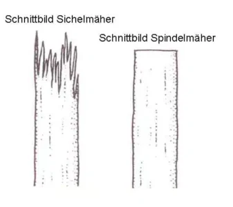 Hand-Spindelmäher “Vintage” - Bild 7